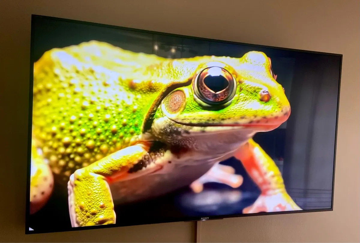 Sony Bravia 49” 4K Android Smart TV - Image 3