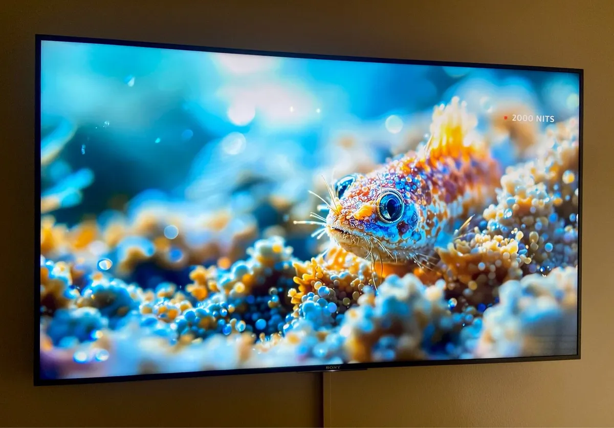 Sony Bravia 49” 4K Android Smart TV - Image 4