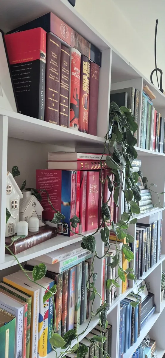 Bookshelves - Image 1