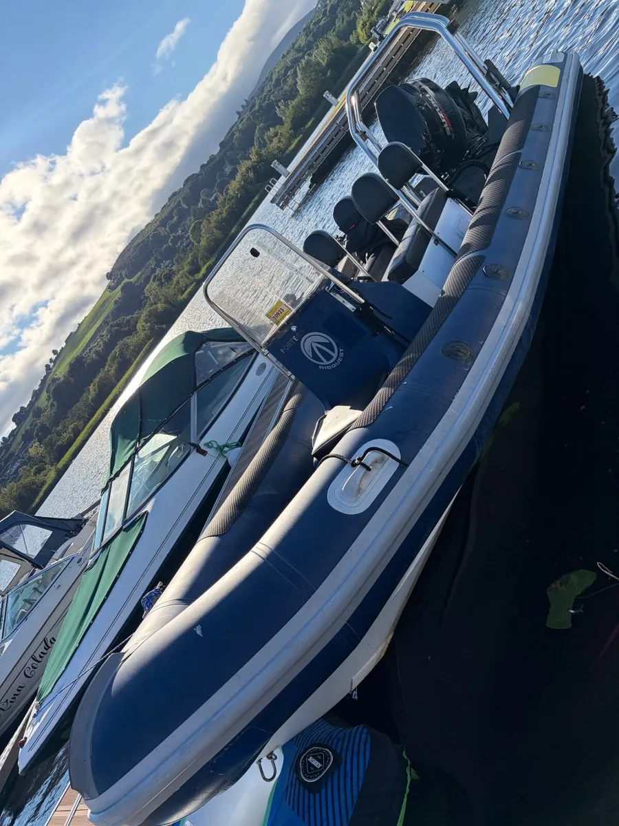 Rib - Image 4