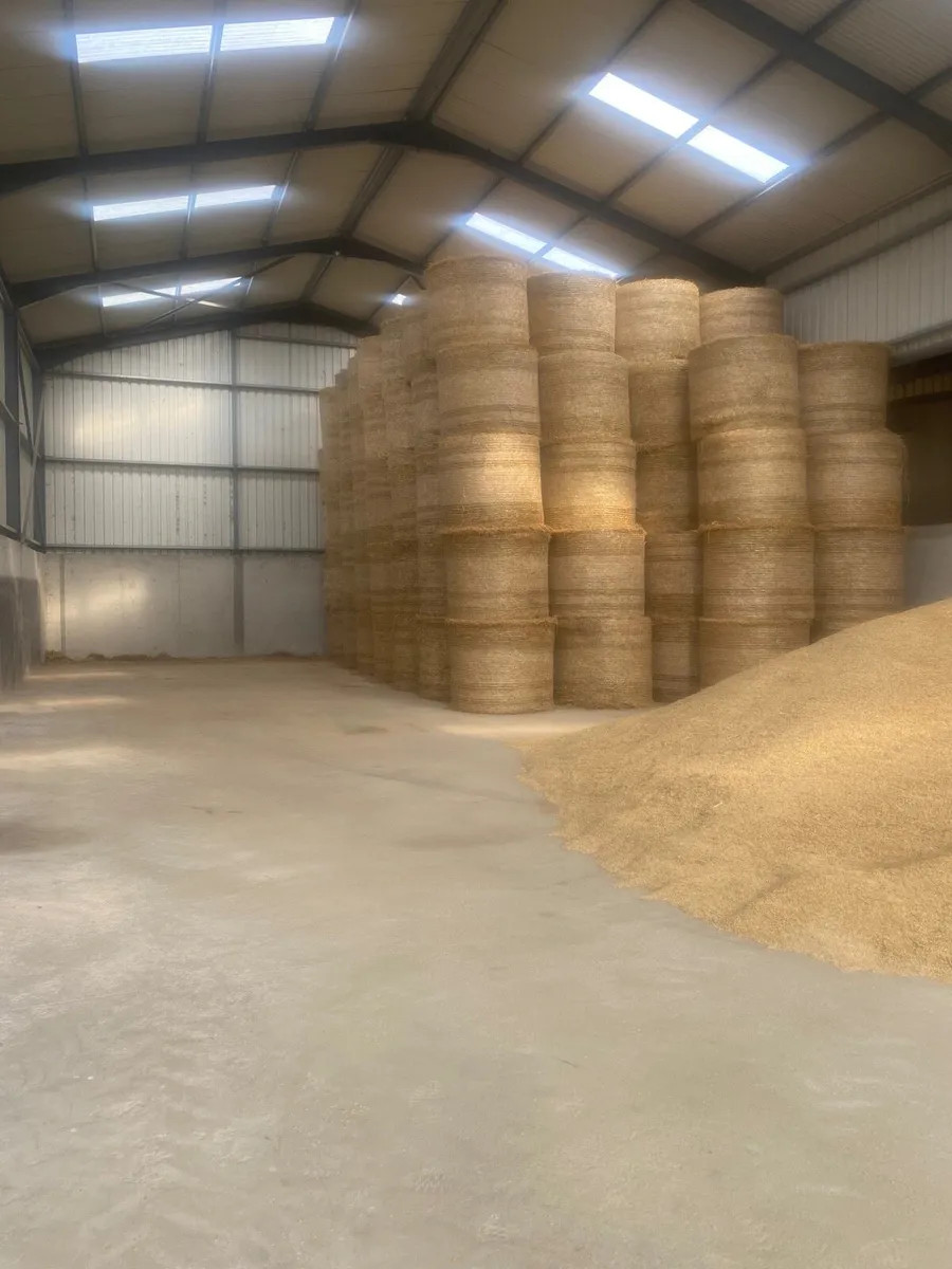 Straw - Image 1