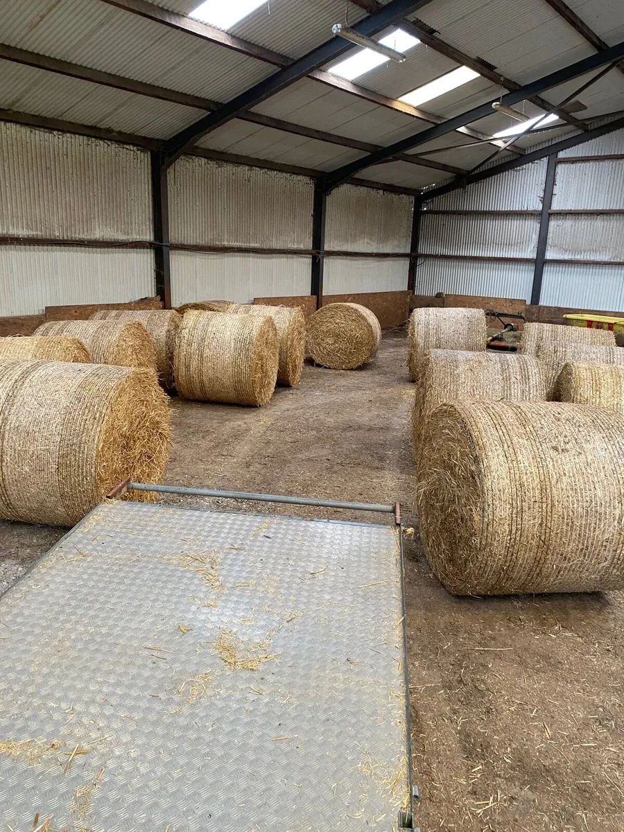 Straw - Image 2