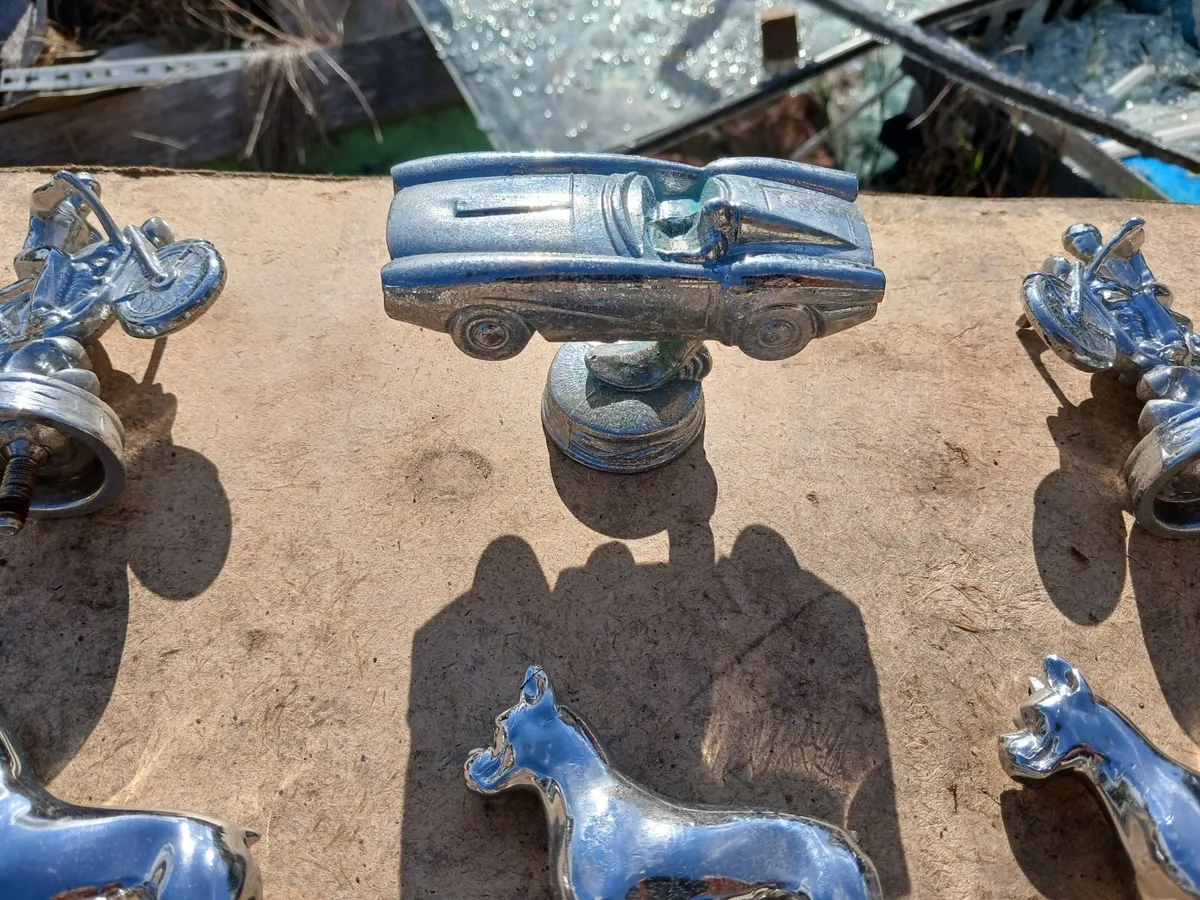 Trophy Head's. - Image 3
