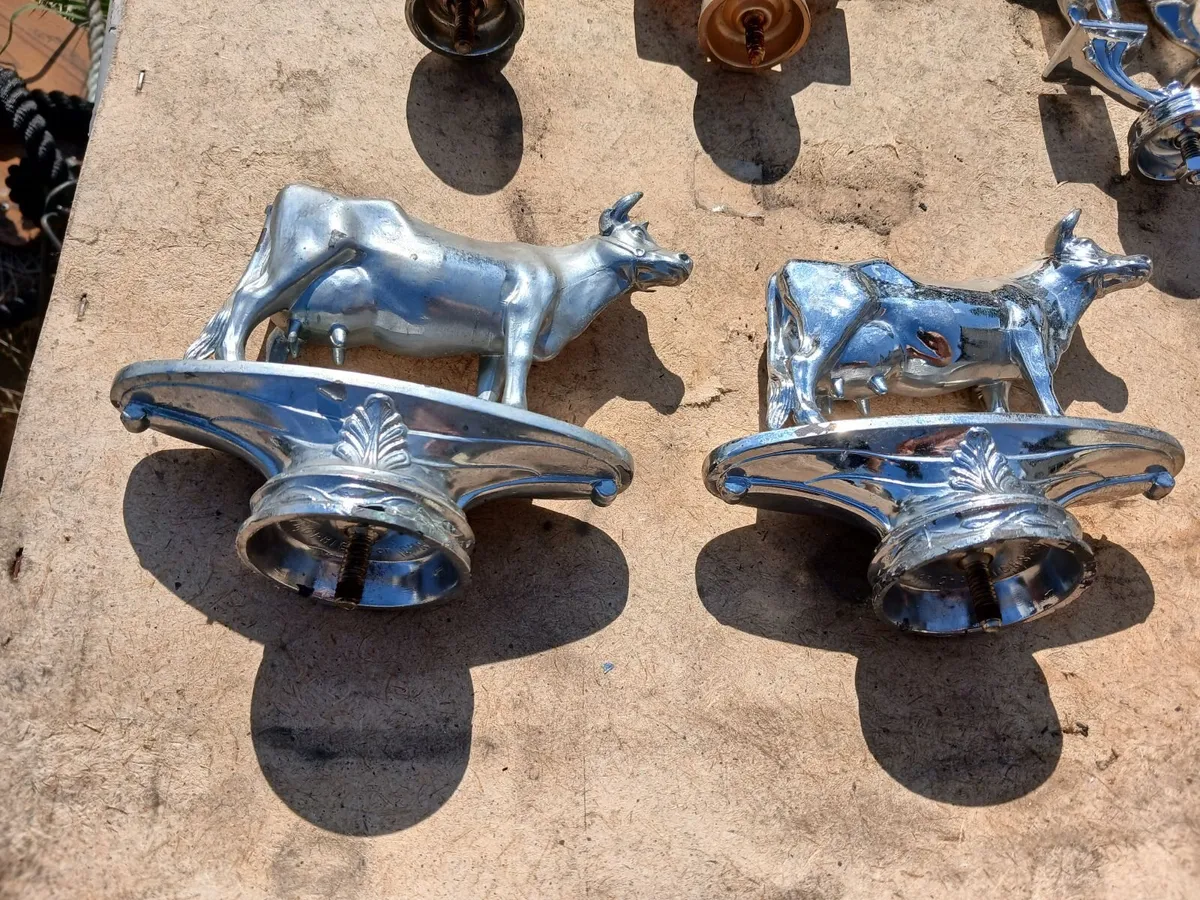 Trophy Head's. - Image 4