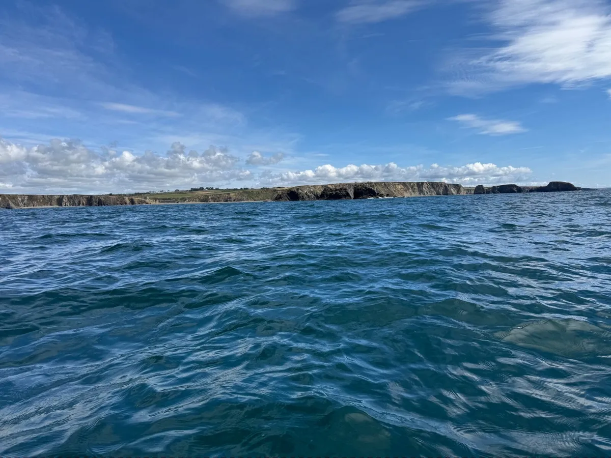 Kayak - Image 3