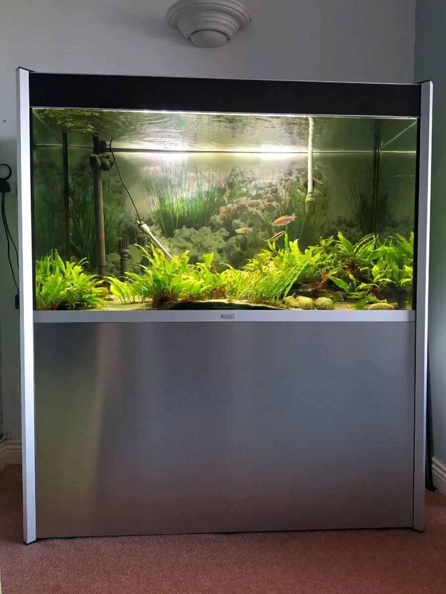 Fluval Profile 1200 (323ltr) - Image 2
