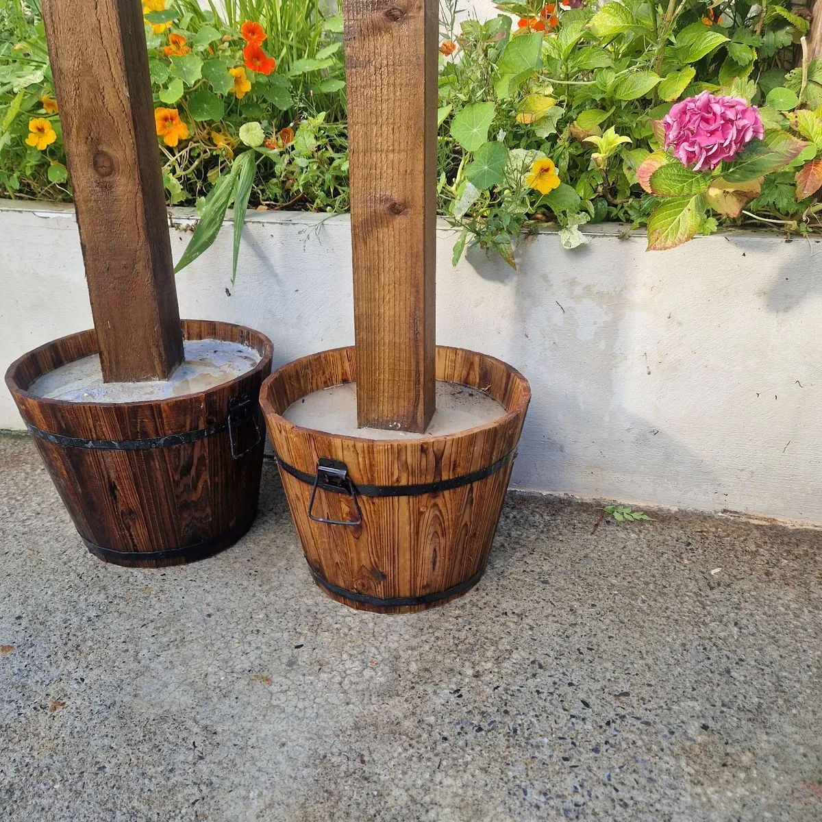 Garden - Image 2