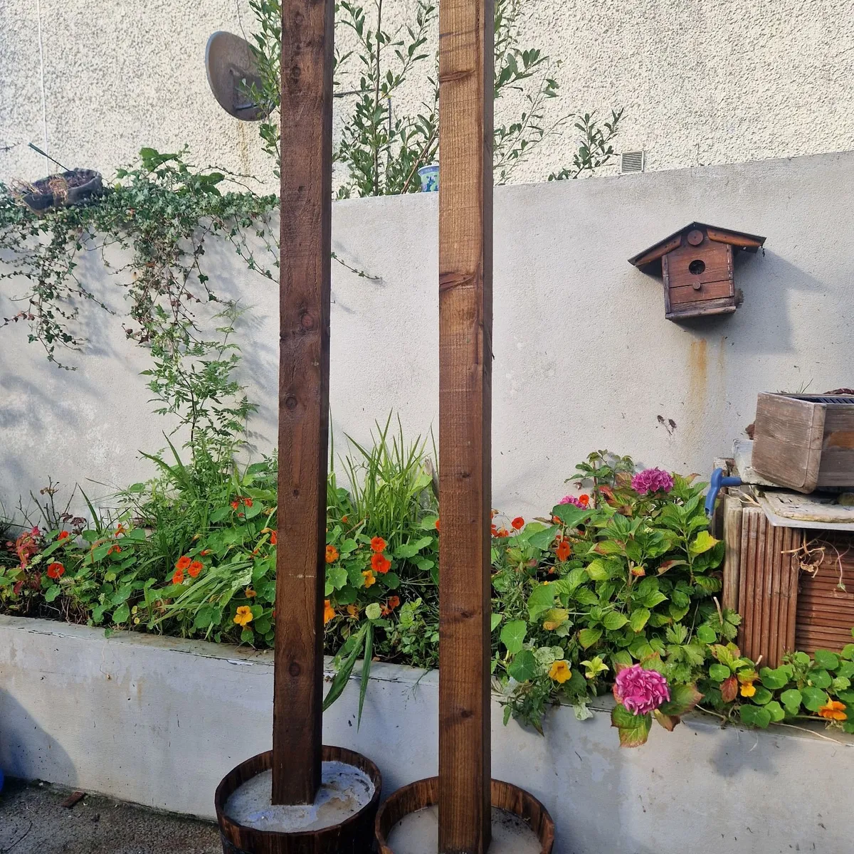 Garden - Image 3