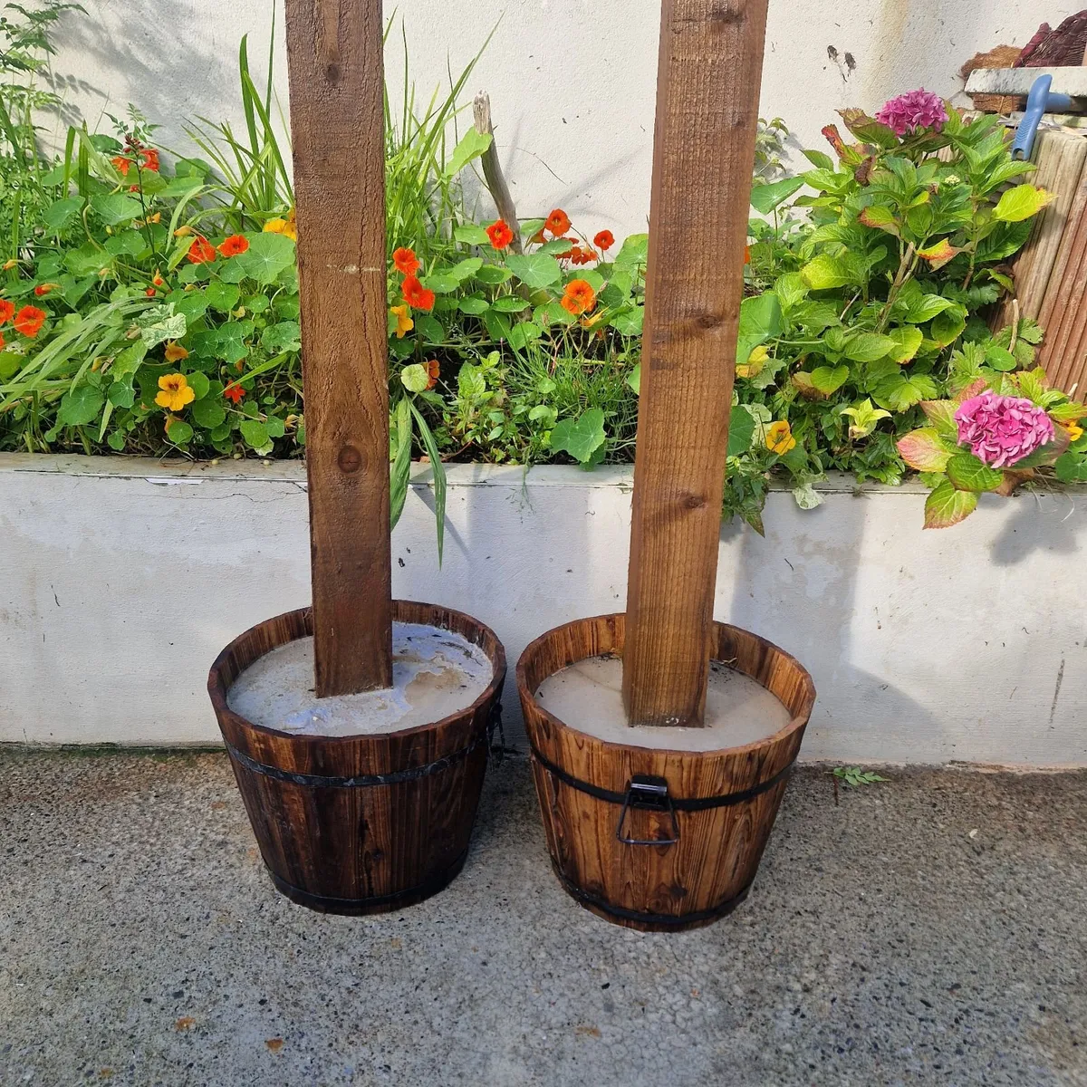 Garden - Image 4
