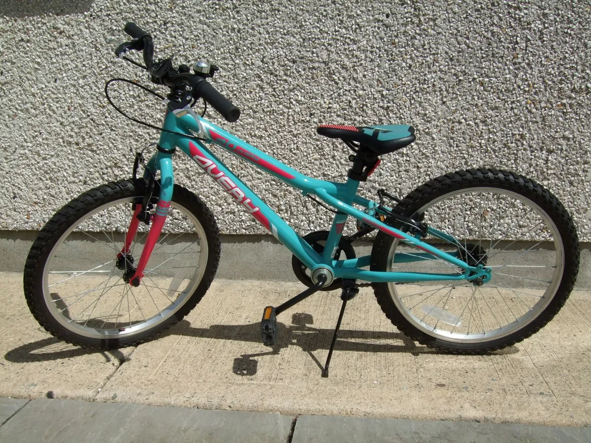 Kids' 20-inch mountain bike - Image 1