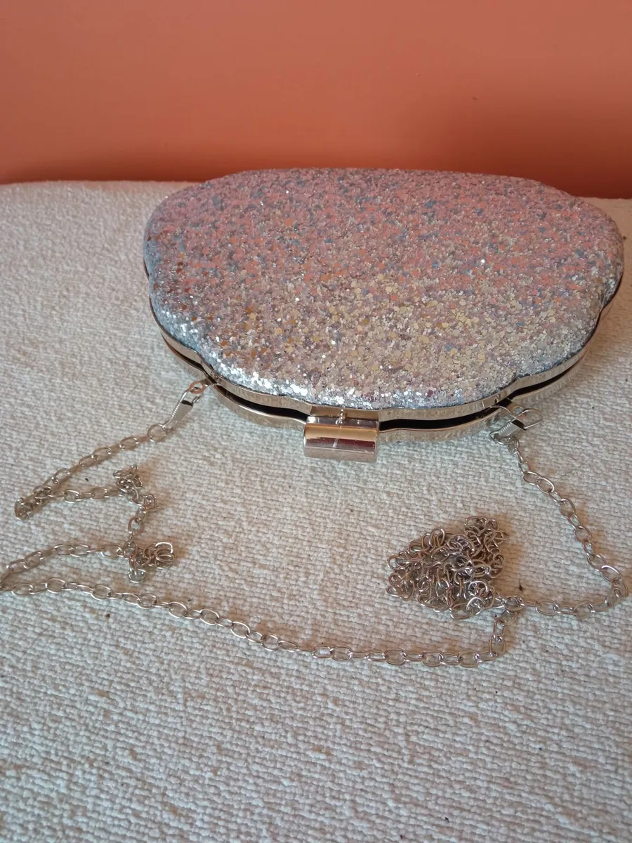 Ladies Silver Bag - Image 4