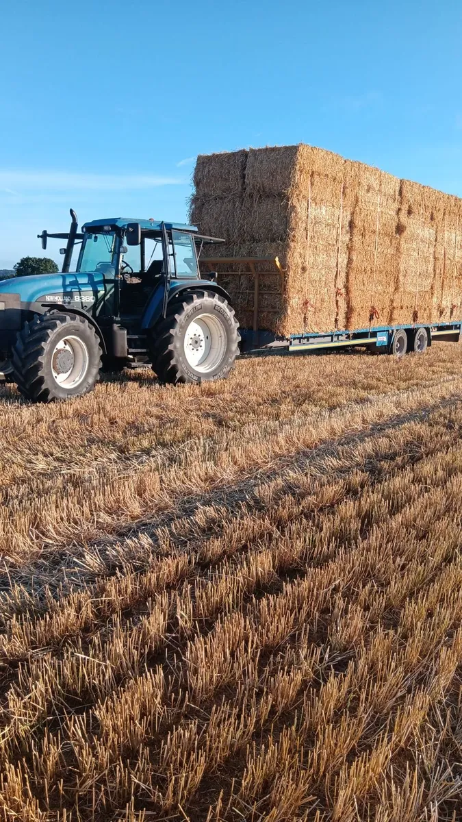 Barley straw 8x4x3