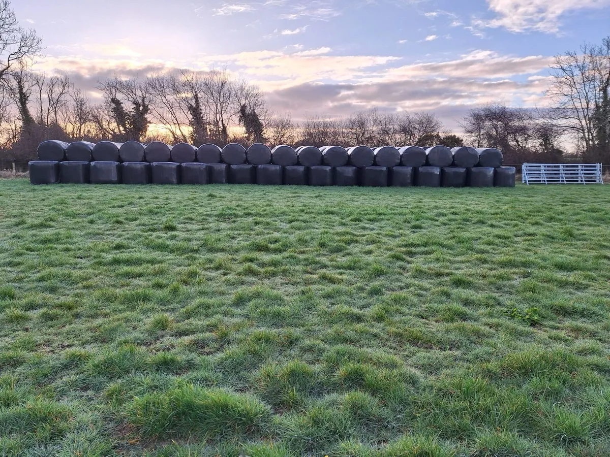 Silage bales - Image 1