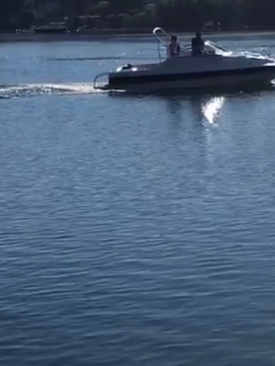 Boat **PROJECT BOAT** - Image 3