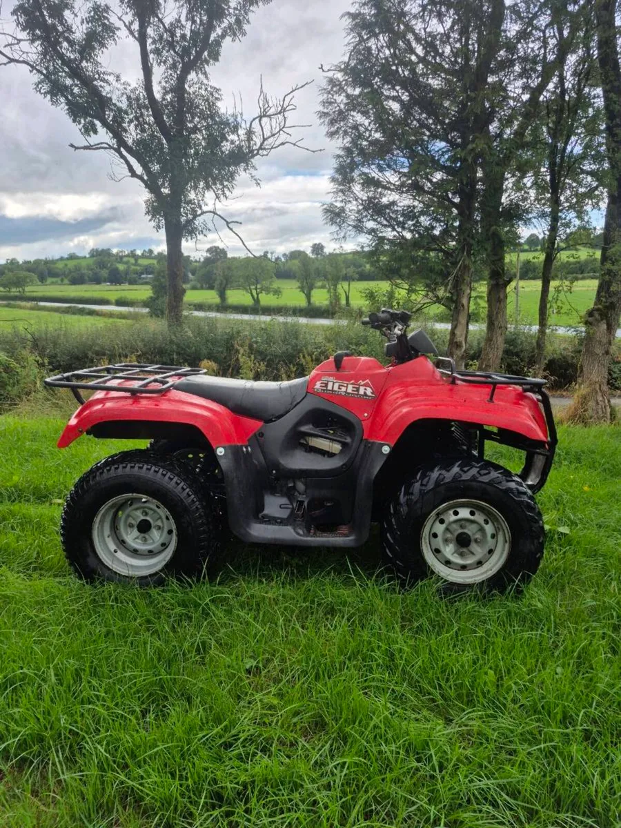 SUZUKI EIGER 400 4X4 - Image 2