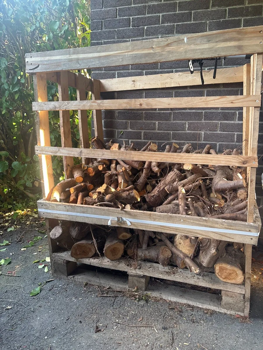 Firewood - Image 1