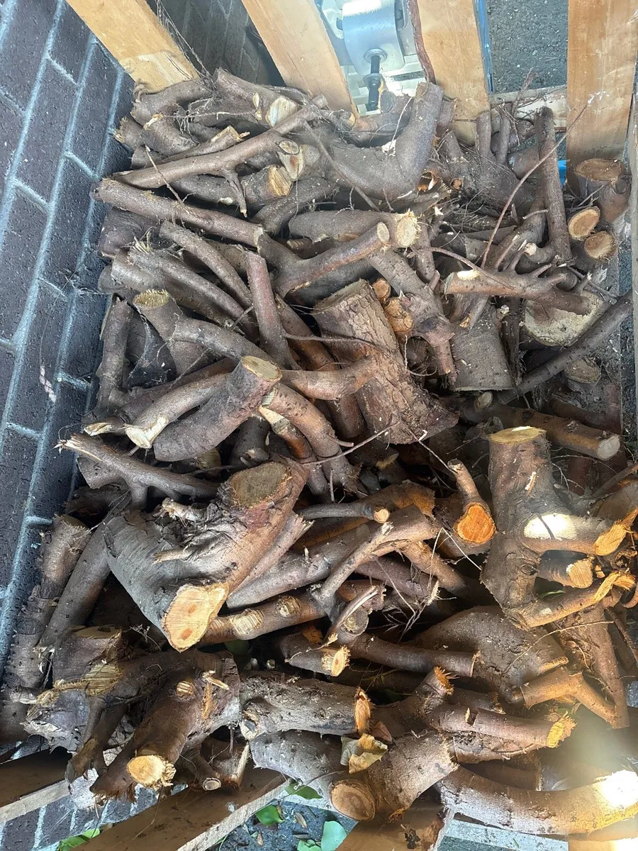 Firewood - Image 2