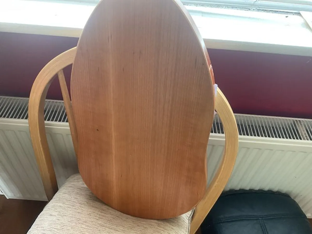 Reverie harp.2 deluxe hand crafted with padded bag - Image 3