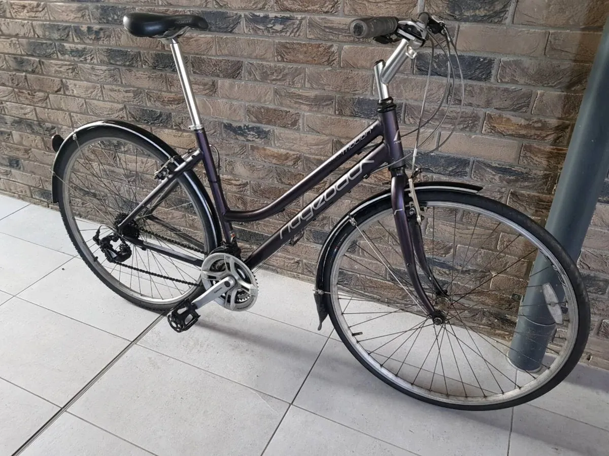 Ladies hybrid( can deliver)