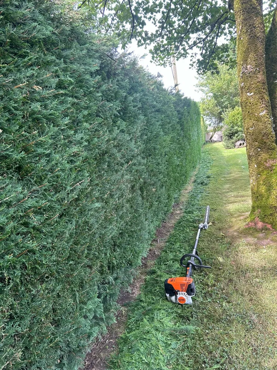 Hedge cutting and general property maintenance - Image 3