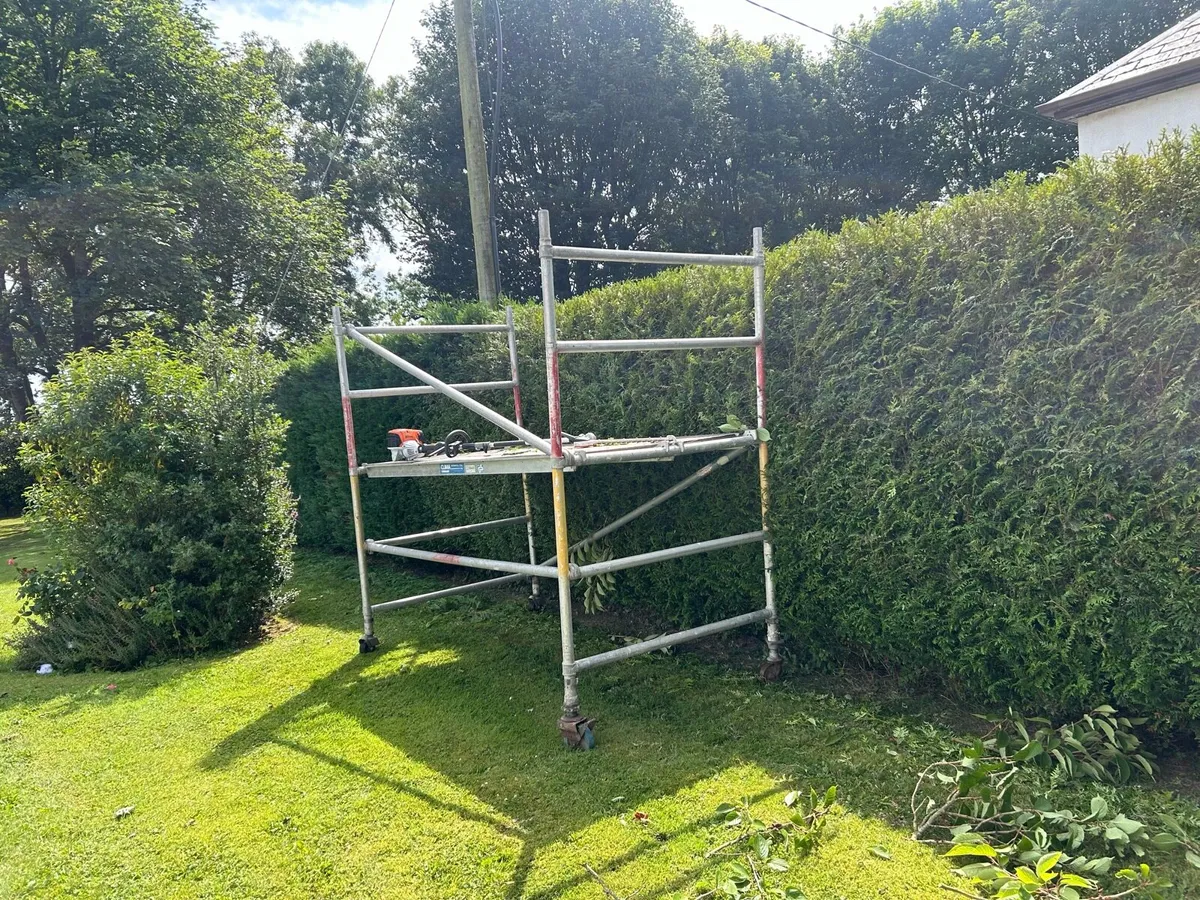 Hedge cutting and general property maintenance - Image 2