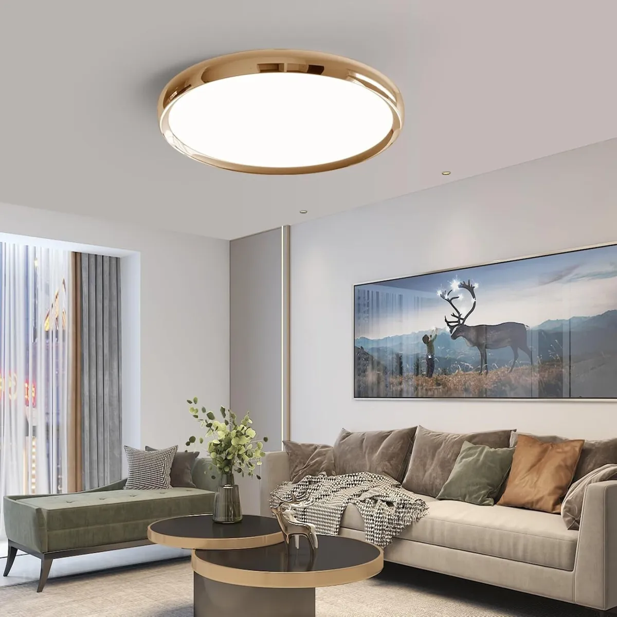 LED Ceiling Light 3000K 4500K 6500K Dimmable - Image 1