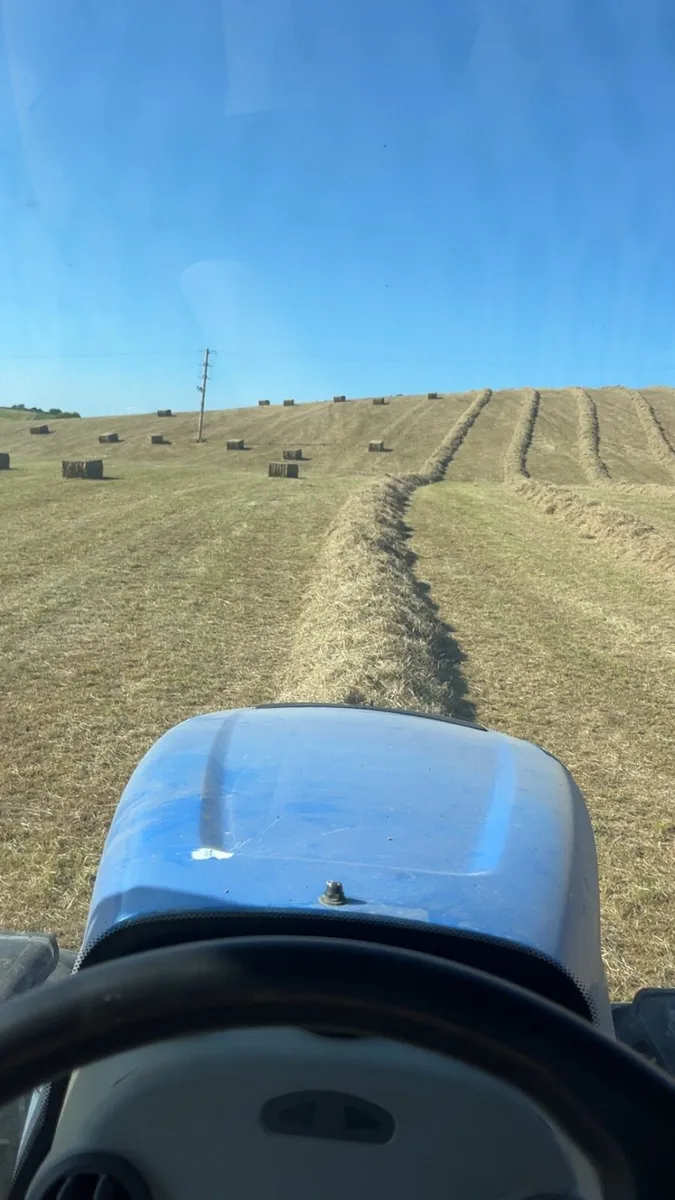 Hay and straw for sale - Image 4