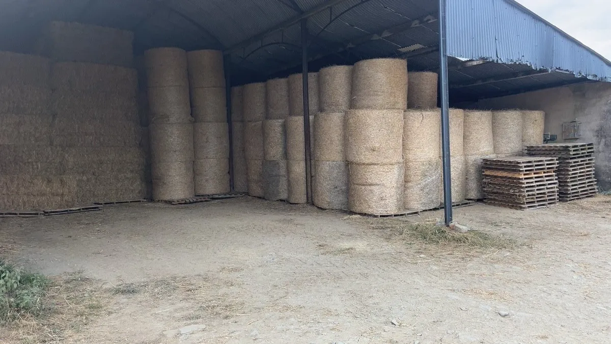 Hay and straw for sale - Image 2