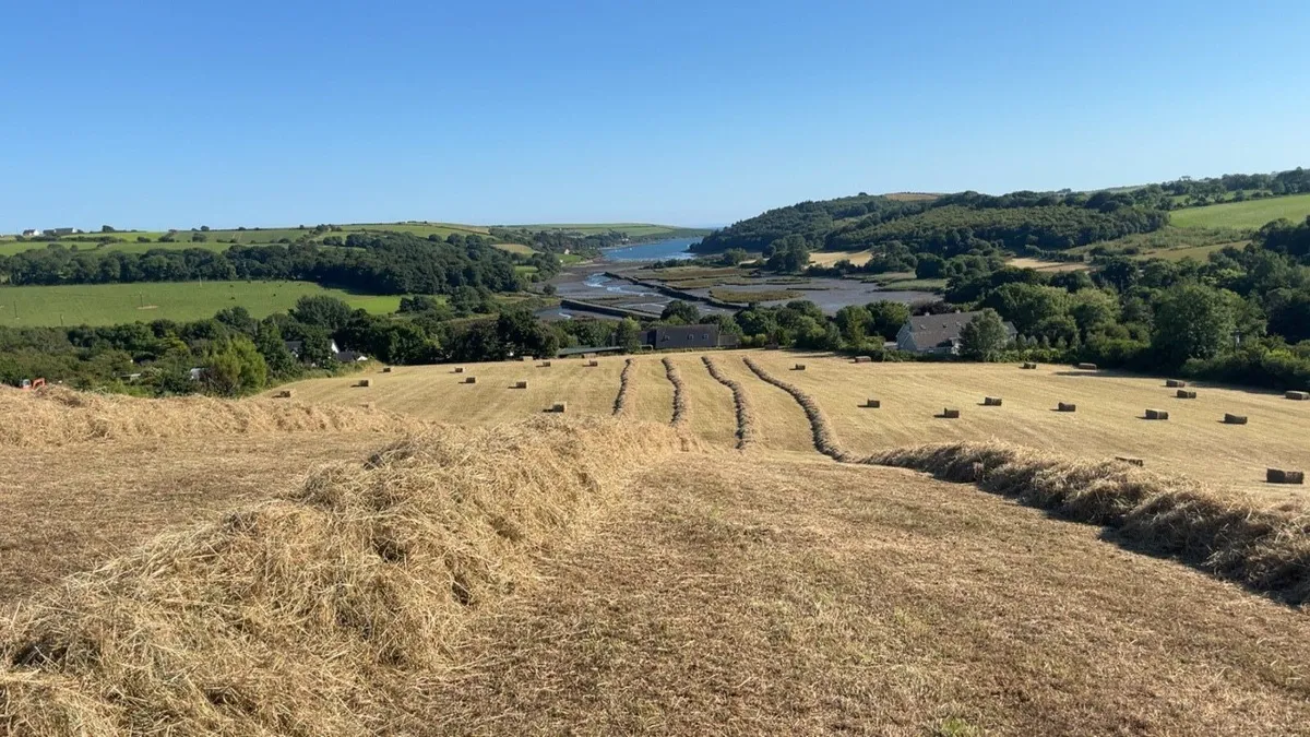 Hay and straw for sale - Image 3