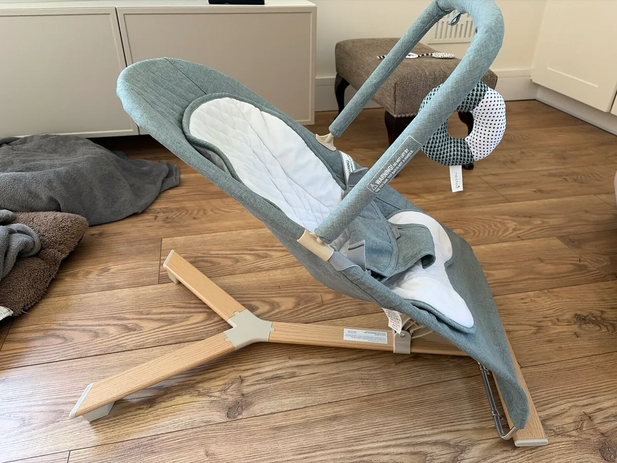 Baby Bouncer - Image 2