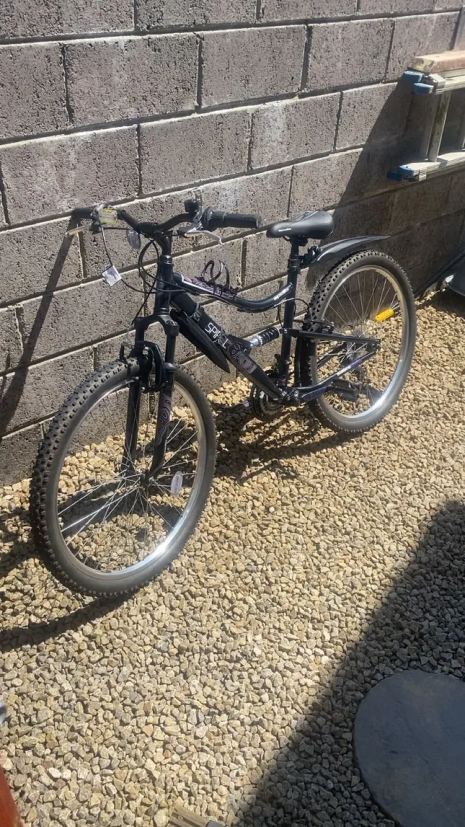 Mountain Bike - Image 1