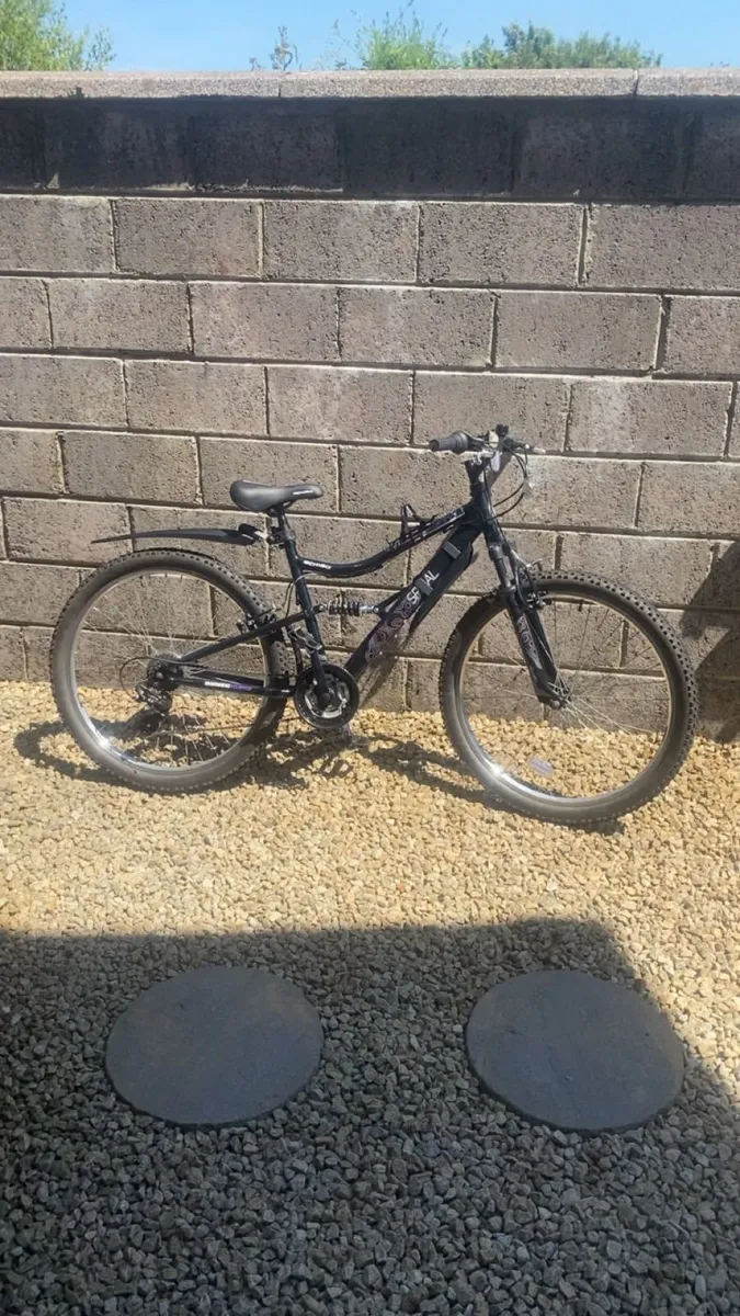 Mountain Bike - Image 2