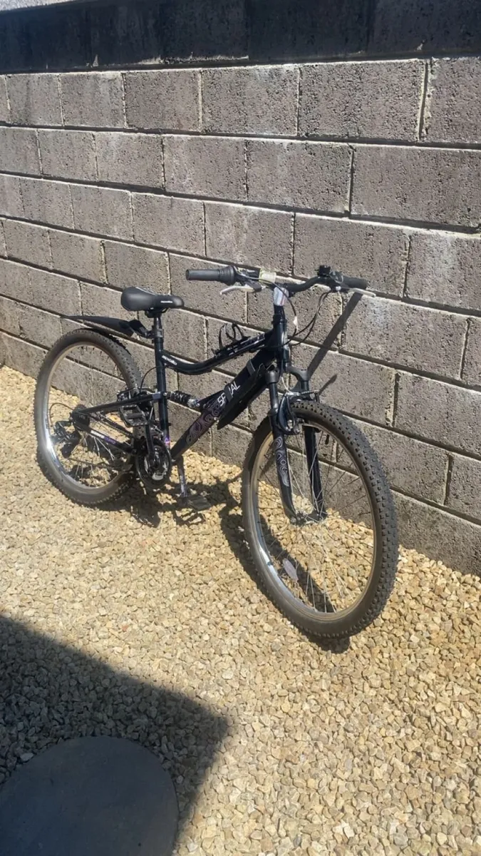 Mountain Bike - Image 3