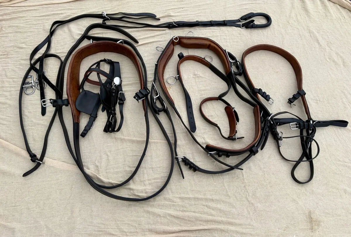 Ideal horse driving harness - FULL - Image 1