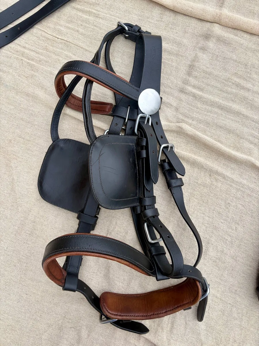 Ideal horse driving harness - FULL - Image 2