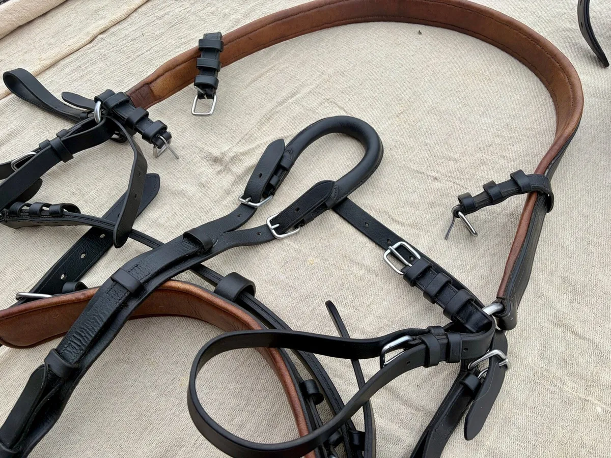 Ideal horse driving harness - FULL - Image 3