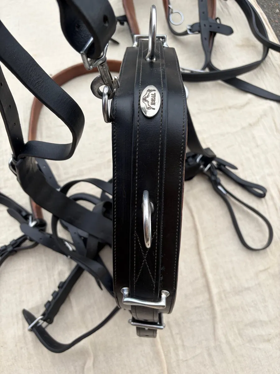 Ideal horse driving harness - FULL - Image 4