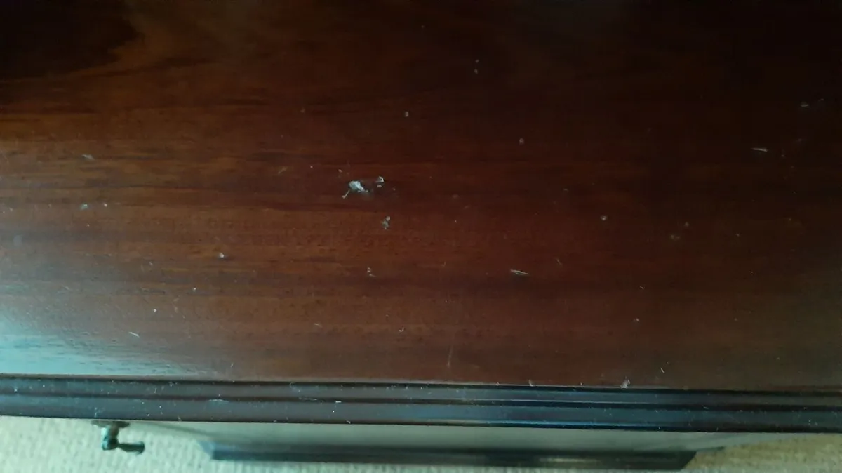 Mahogany corner display unit - Image 2