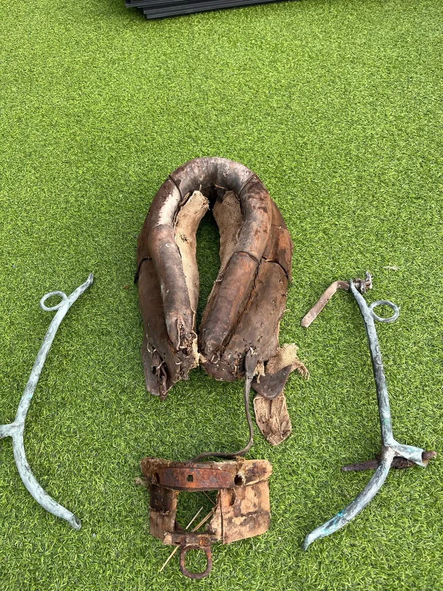 Donkey collars harness - Image 1