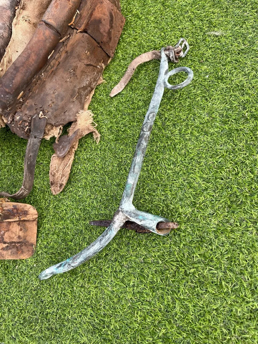 Donkey collars harness - Image 4