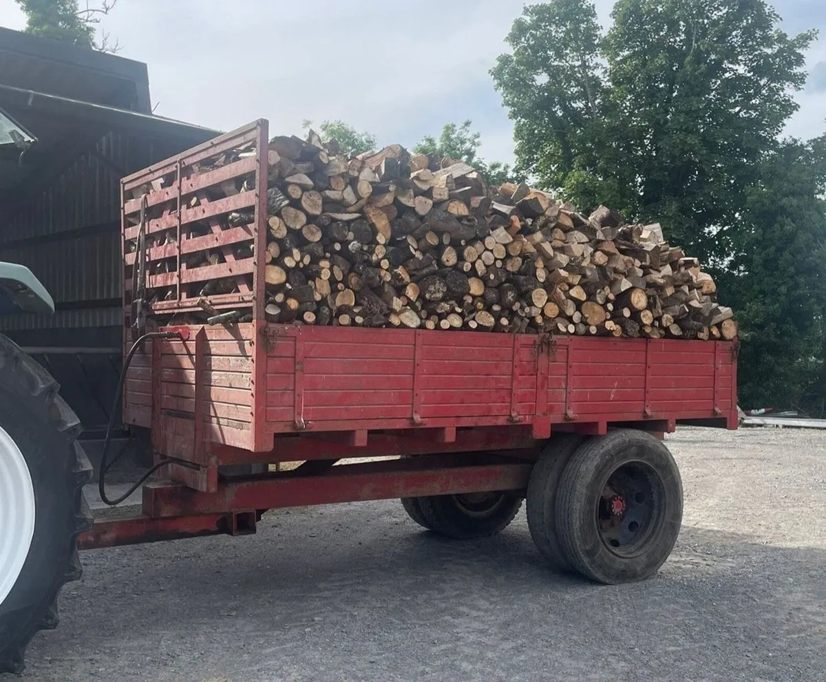 Firewood - Image 2