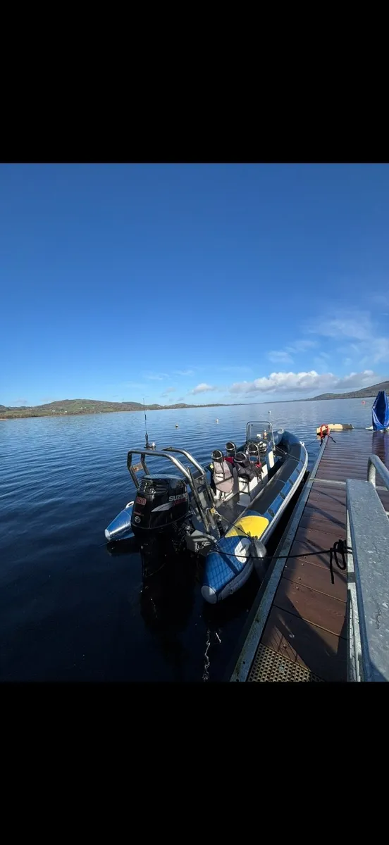 Rib - Image 1