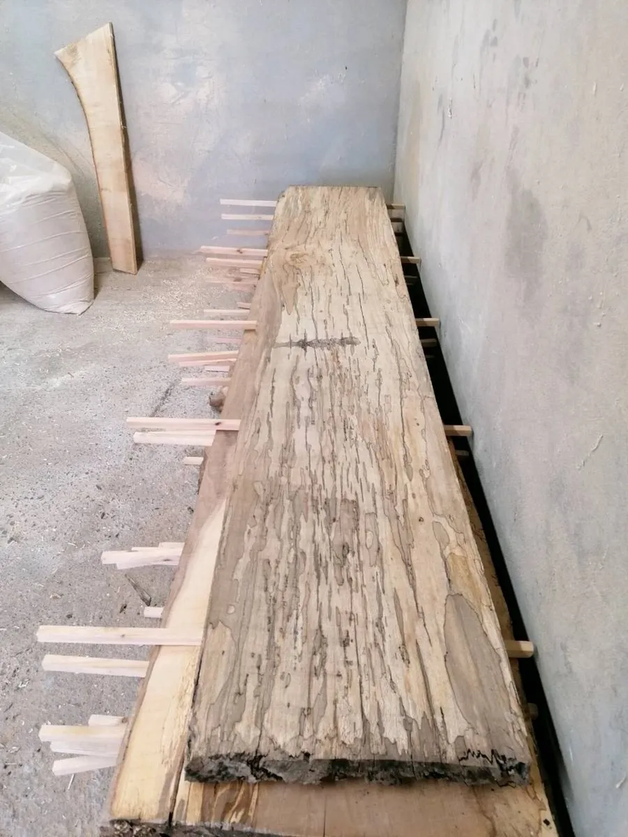 Spalted Beech & Yew Slabs - Image 2