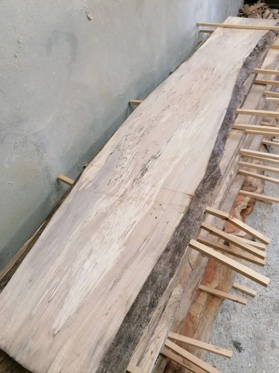 Spalted Beech & Yew Slabs - Image 3