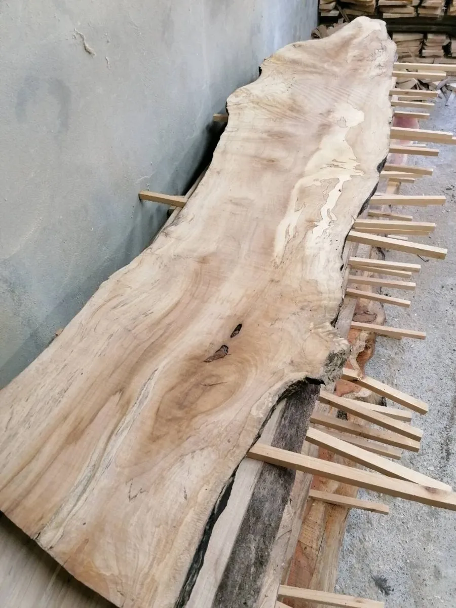 Spalted Beech & Yew Slabs - Image 4