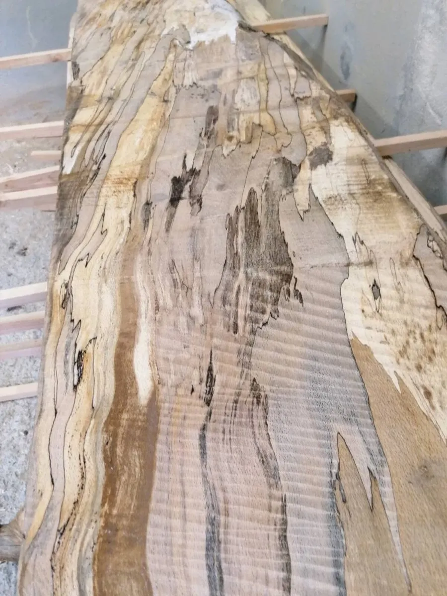 Spalted Beech & Yew Slabs - Image 1