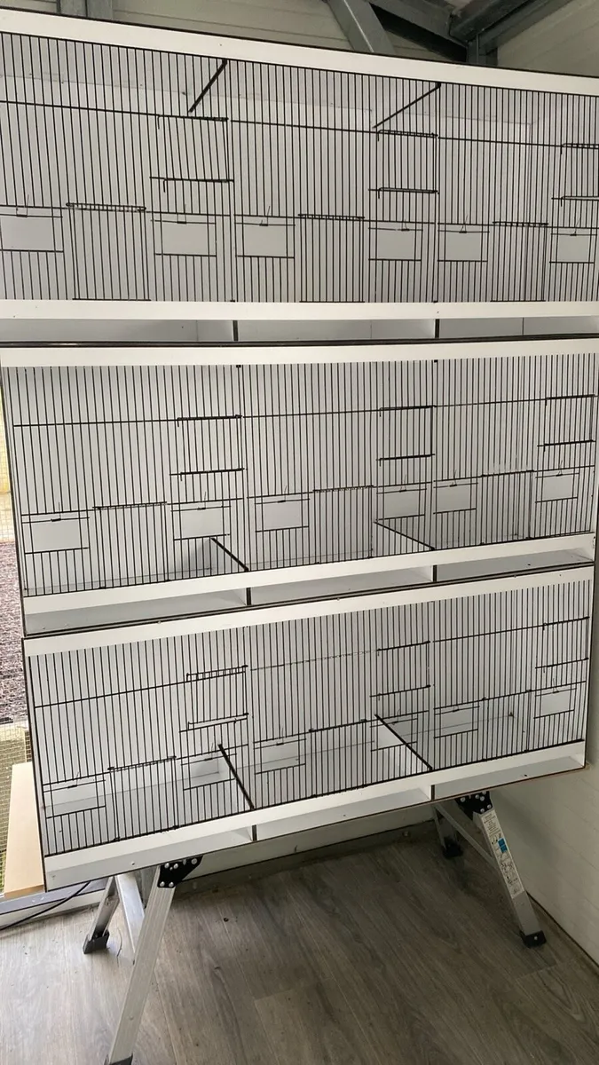 Cages - Image 1