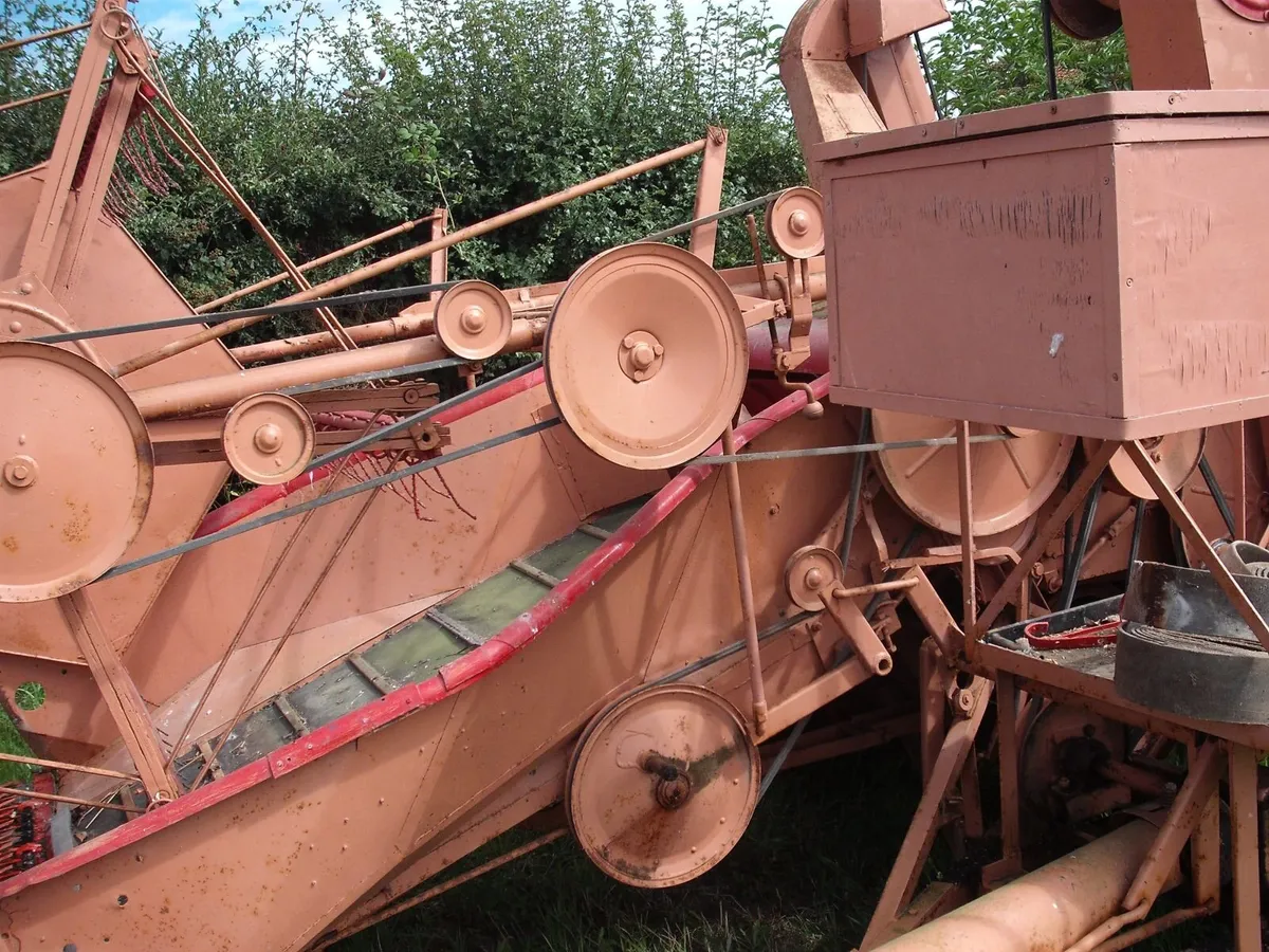 Dania, Trailed Combine Harvester - Image 3