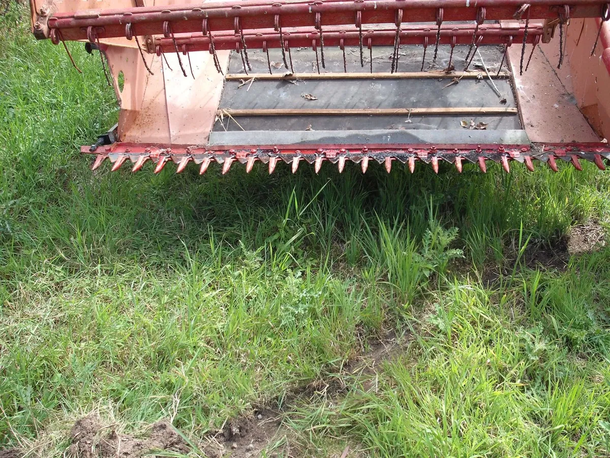 Dania, Trailed Combine Harvester - Image 4