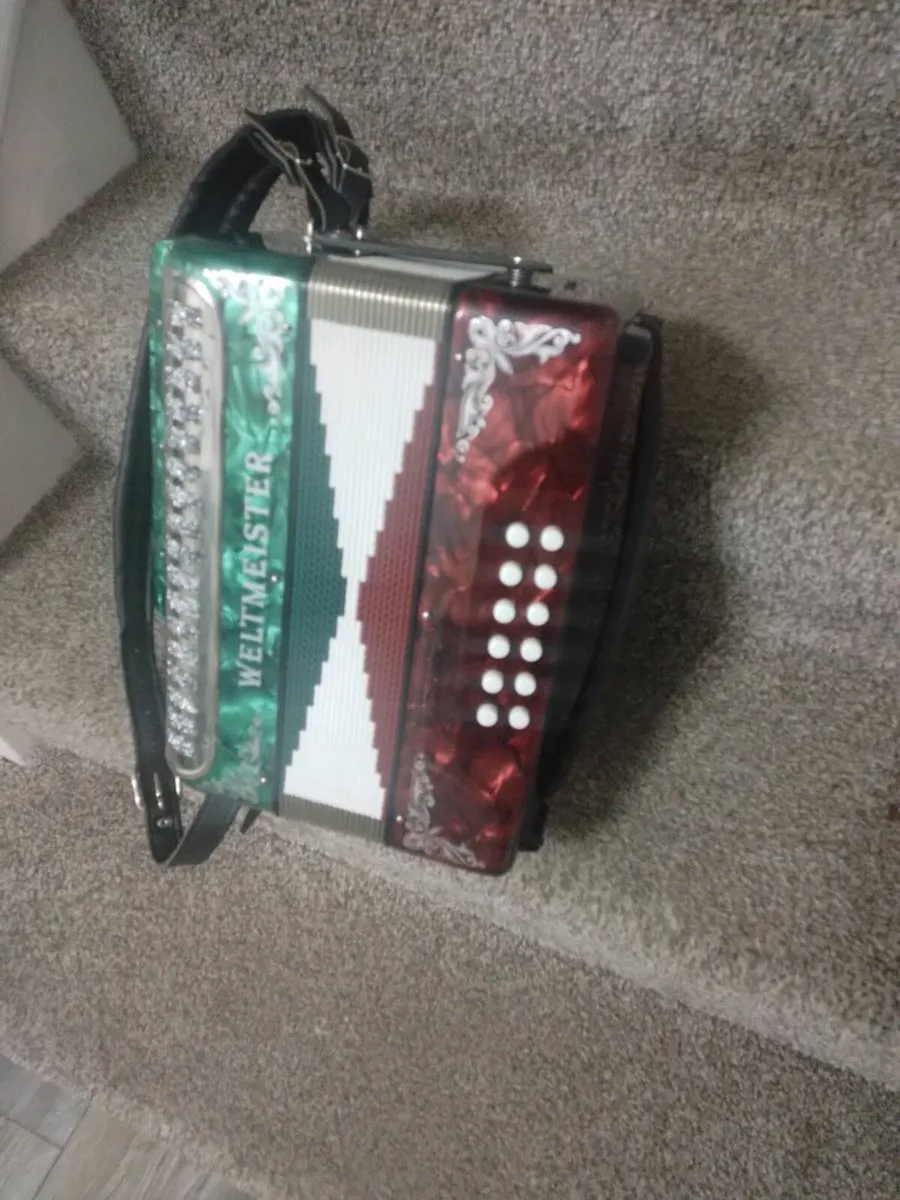 Accordion - Image 2
